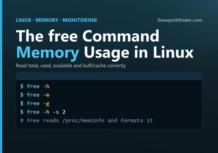 Terminal showing free -h, free -m, free -g and free -h -s 2 for checking memory usage on Linux